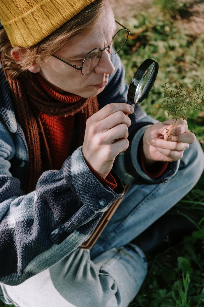 Home A botanist carefully studies a plant using a magnifying glass outdoors, showcasing hands-on research.